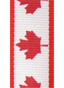 Neck Ribbon - Patterned