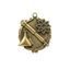 A product photo of big sculptured Gold Science medallion.