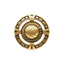 A product photo of Gold Varsity Volleyball medallion.