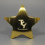 Brass Star Paperweight
