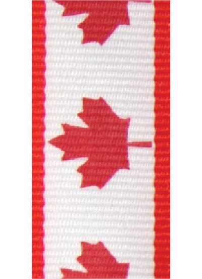 Neck Ribbon - Patterned