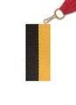 Neck Ribbon - Two Colors