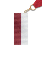 Neck Ribbon - Two Colors
