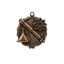 A product photo of big sculptured Bronze Science medallion.