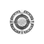 A product photo of Silver varsity Volleyball medallion.
