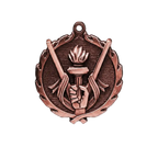 A product photo of big sculptured Bronze Hockey medallion.