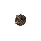 A product photo of small sculptured Bronze Science medallion.