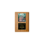 A photo of a Light Oak Laminate plaque with a full-coloured plate on the top-half and traditional engraved plate on the bottom-half.