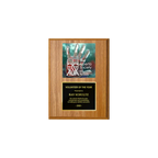 A photo of a Light Oak Laminate plaque with a full-coloured plate on the top-half and traditional engraved plate on the bottom-half.