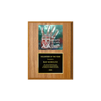 A photo of a Light Oak Laminate plaque with a full-coloured plate on the top-half and traditional engraved plate on the bottom-half.