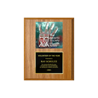 A photo of a Light Oak Laminate plaque with a full-coloured plate on the top-half and traditional engraved plate on the bottom-half.