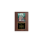 A photo of a Cherrywood Laminate plaque with a full-coloured plate on the top-half and traditional engraved plate on the bottom-half.