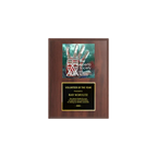 A photo of a Cherrywood Laminate plaque with a full-coloured plate on the top-half and traditional engraved plate on the bottom-half.