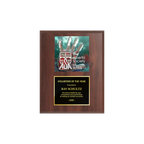 A photo of a Cherrywood Laminate plaque with a full-coloured plate on the top-half and traditional engraved plate on the bottom-half.