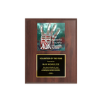 A photo of a Cherrywood Laminate plaque with a full-coloured plate on the top-half and traditional engraved plate on the bottom-half.