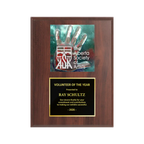 A photo of a Cherrywood Laminate plaque with a full-coloured plate on the top-half and traditional engraved plate on the bottom-half.