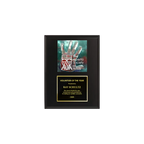 A photo of a Matte Black Laminate plaque with a full-coloured plate on the top-half and traditional engraved plate on the bottom-half.