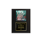 A photo of a Matte Black Laminate plaque with a full-coloured plate on the top-half and traditional engraved plate on the bottom-half.