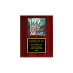 A photo of a Rosewood Piano Finish plaque with a full-coloured plate on the top-half and traditional engraved plate on the bottom-half.
