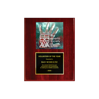 A photo of a Rosewood Piano Finish plaque with a full-coloured plate on the top-half and traditional engraved plate on the bottom-half.