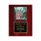 A photo of a Rosewood Piano Finish plaque with a full-coloured plate on the top-half and traditional engraved plate on the bottom-half.