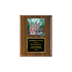 A photo of a Walnut Piano Finish plaque with a full-coloured plate on the top-half and traditional engraved plate on the bottom-half.