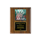 A photo of a Walnut Piano Finish plaque with a full-coloured plate on the top-half and traditional engraved plate on the bottom-half.