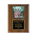 A photo of a Walnut Piano Finish plaque with a full-coloured plate on the top-half and traditional engraved plate on the bottom-half.