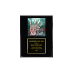 A photo of a Black Piano Finish plaque with a full-coloured plate on the top-half and traditional engraved plate on the bottom-half.
