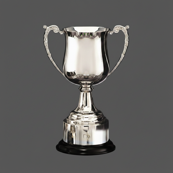 Cups - Georgian Cup