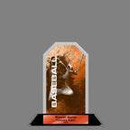 Peak Acrylic Award