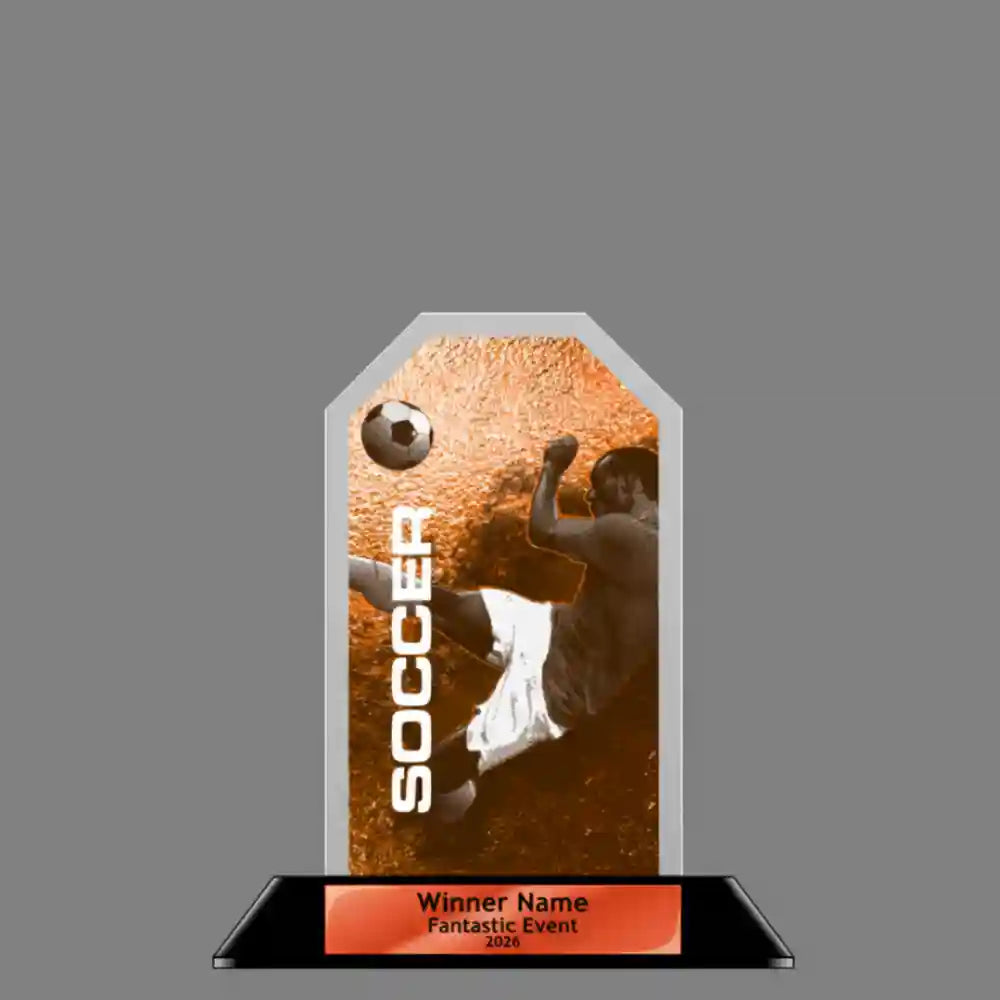 Peak Acrylic Award
