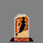 Peak Acrylic Award