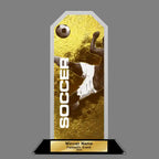 Peak Acrylic Award