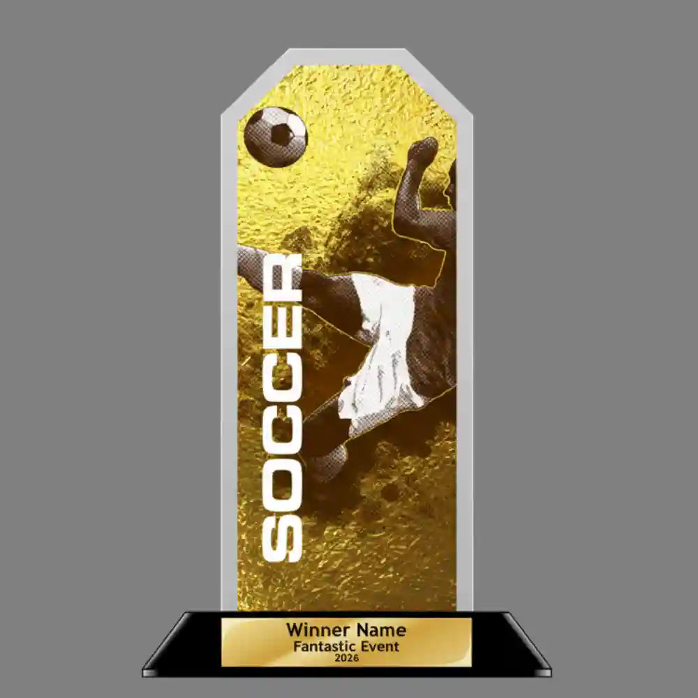 Peak Acrylic Award