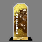 Peak Acrylic Award