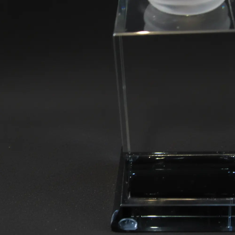 Optic Crystal - Light Bulb