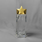 Optic Crystal - Crystal with Gold Star