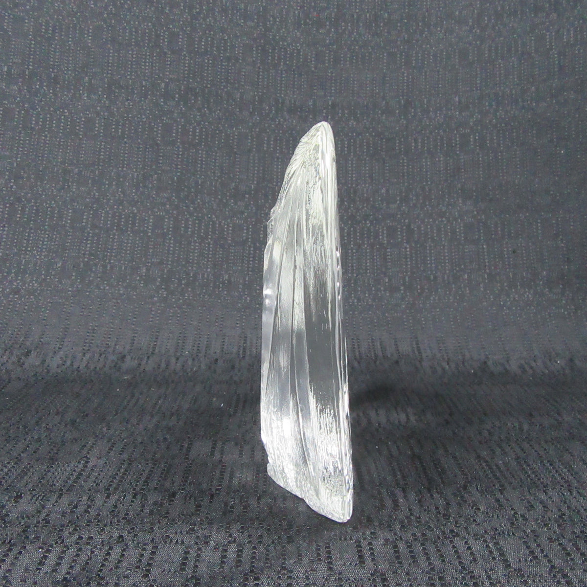 Glass - Praying Hands