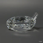 Optic Crystal - Golf Driver Head