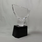 Optic Crystal - Crowned Golf Award