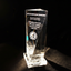 Optic Crystal - Grand Bevel with Base  (9")